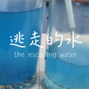 幼儿实验 逃走的水
