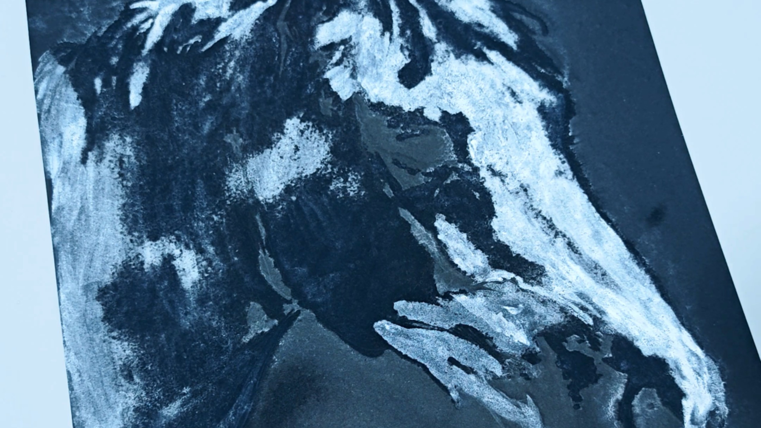 这幅画没用一滴颜料