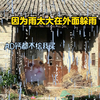 因为我的一次任性，导致奶奶受伤