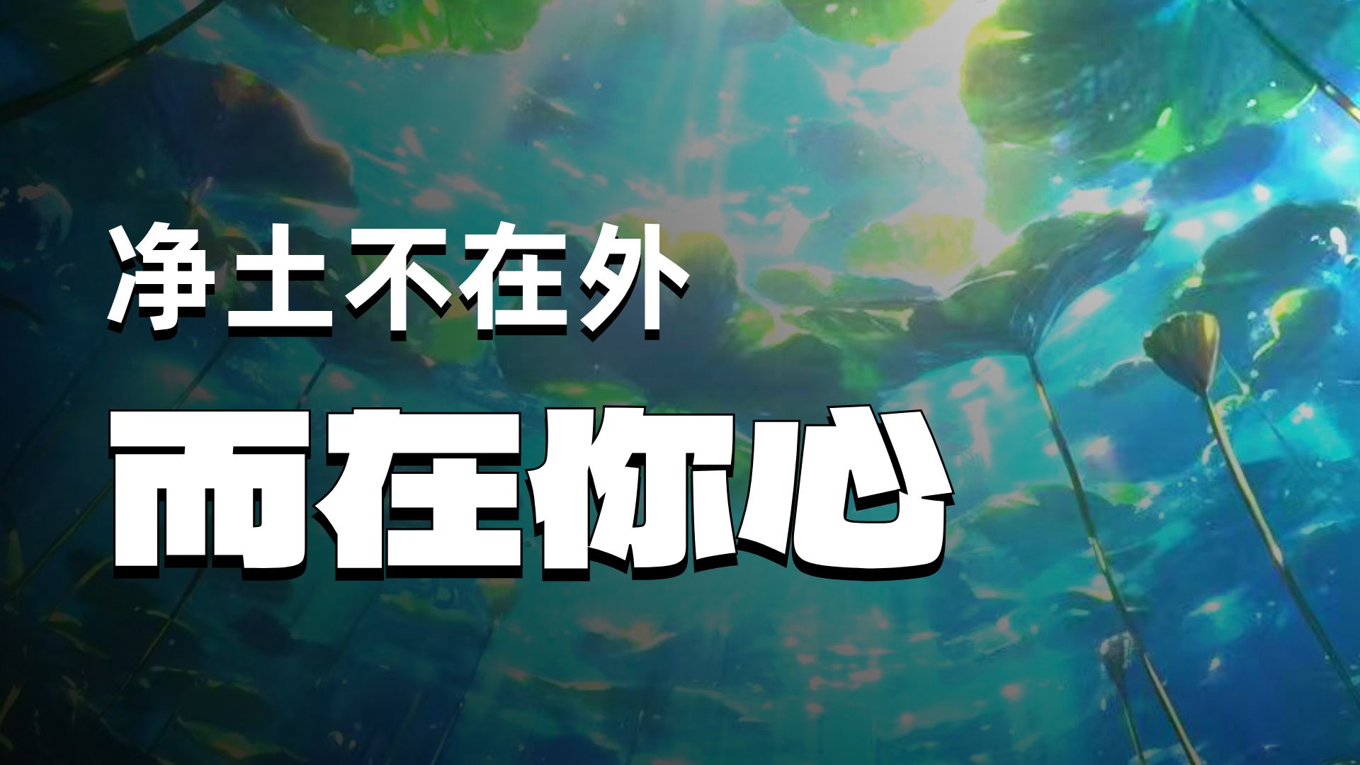 体佛法师开示：水清无鱼