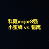 【FF大聪明解说】科隆major8强 小蜜蜂 vs 猎鹰_CSGO_游戏解说