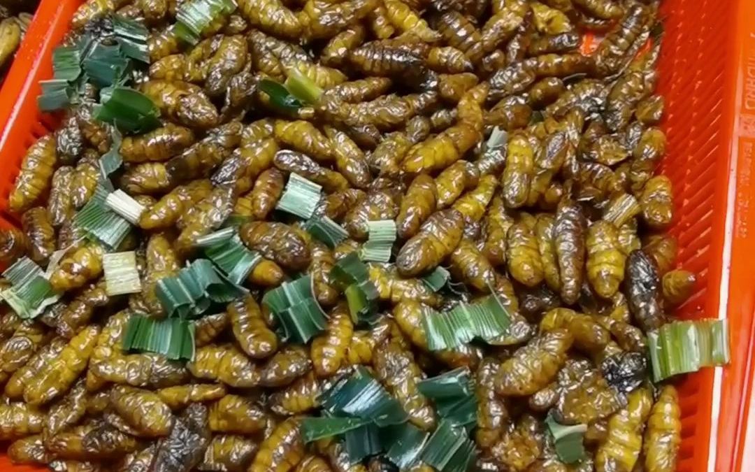 在泰国吃油炸昆虫是什么体验
