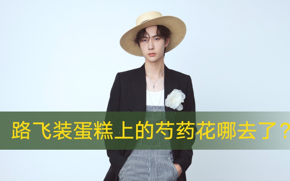 博君一肖解析路飞装蛋糕上的芍药花为什么不见了