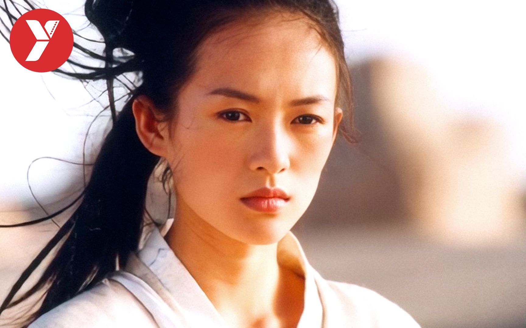 【越哥】2002年票房冠军，国外获奖无数，为何国内却被骂的狗血淋头？《英雄》