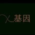 【SNH48 TeamX】X基因舞蹈练习室版