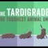 【Ted-ED】水熊虫：地球上最坚硬的动物 Tardigrade The Toughest Animal On Eart