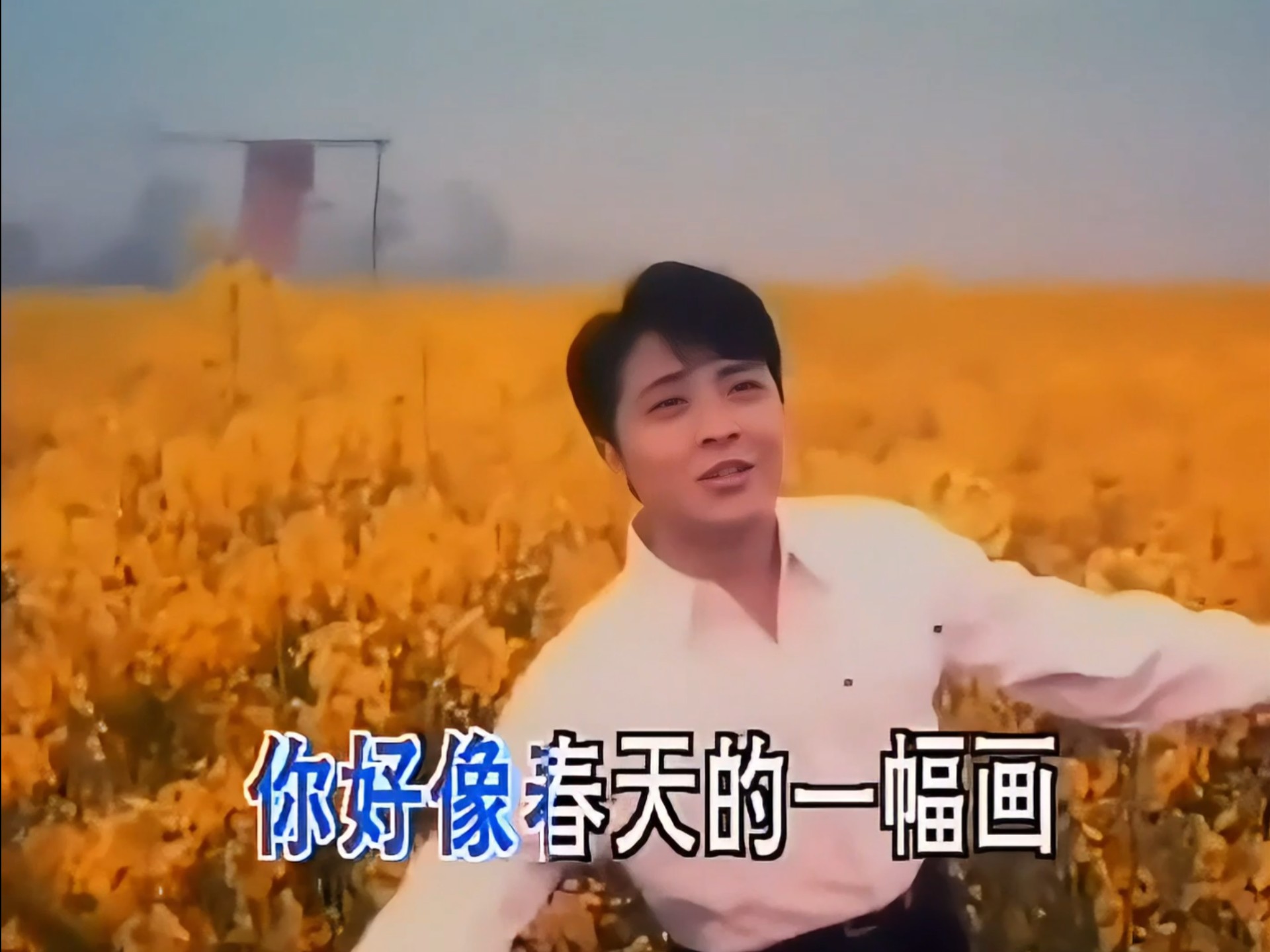 那些年那些歌-黄鹤翔-九妹-超清修复-无损音质-原版KTV