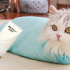 为了给猫剃脚毛，把猫绑成了猫猫虫，小猫咪一定恨死我了