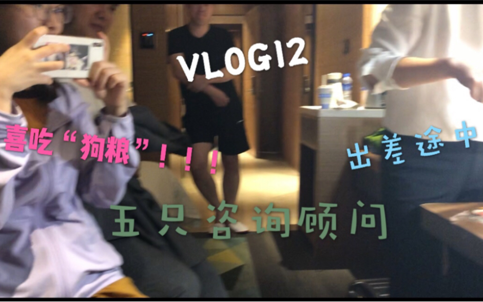 【咨询顾问日常】VLog9 之 5名咨询顾问!喜吃狗粮!哔哩哔哩bilibili