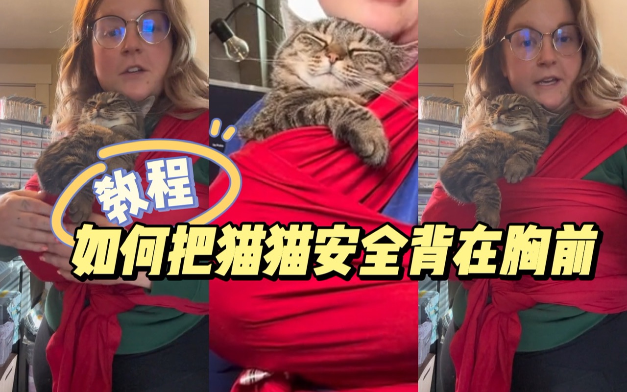 如何把猫猫安全背在胸前教程