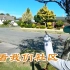 带你们看看我们生活的社区（新西兰 Harold Vlog 553）