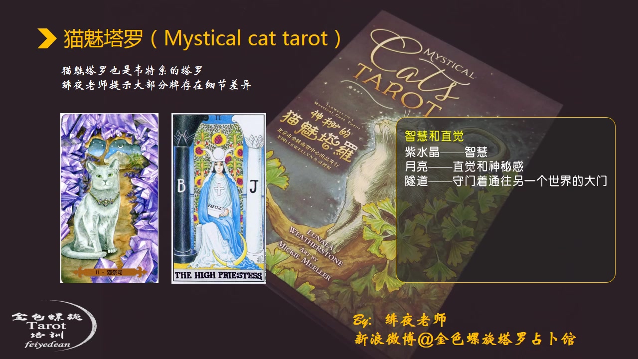 【绯夜老师】猫魅塔罗牌占卜特点介绍(与韦特的区别)