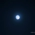 最终幻想16 主题曲宣传片 / 米津玄師『月を見ていた』
