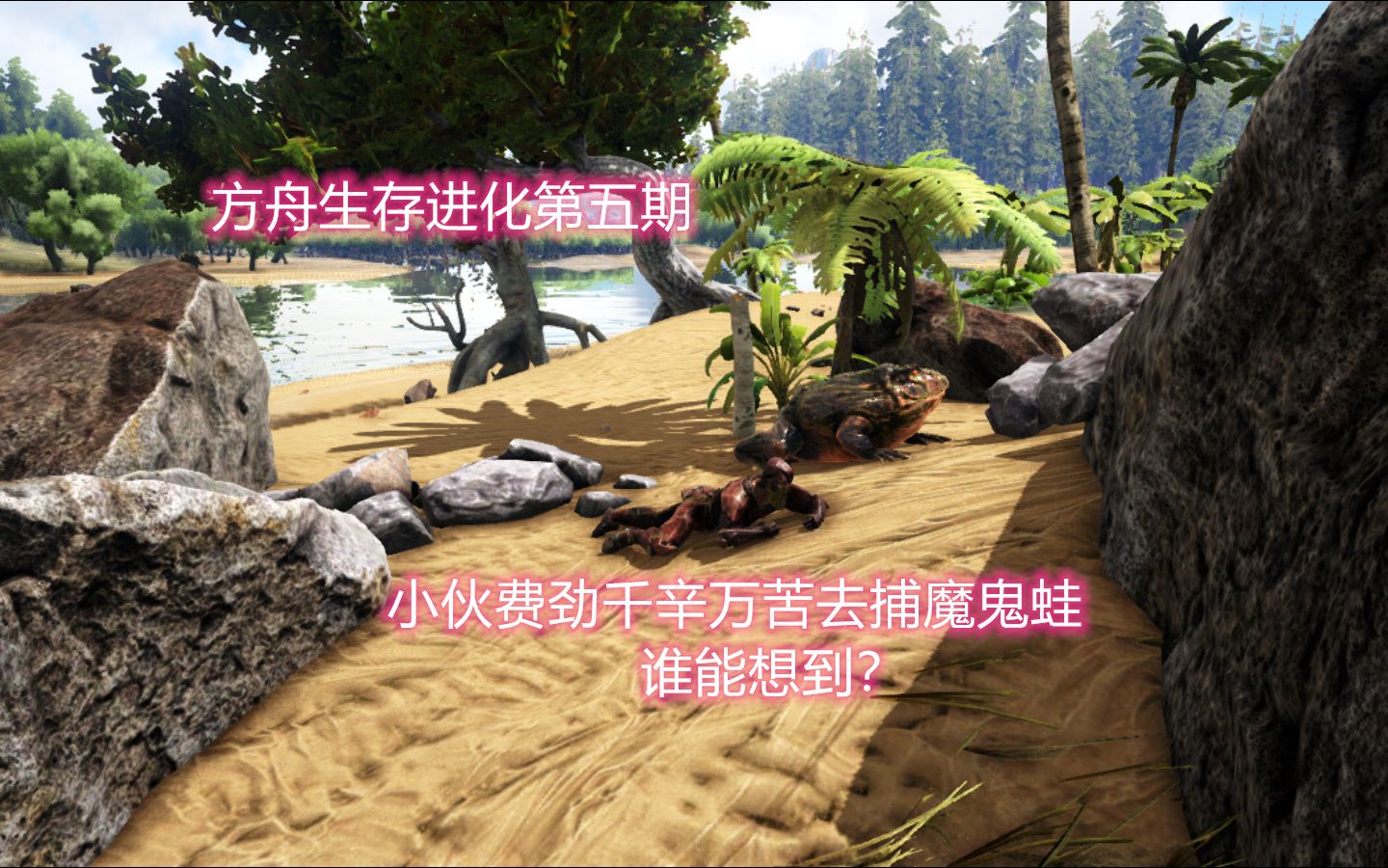 方舟生存进化第五期小伙千辛万苦去捕魔鬼蛙谁能想到