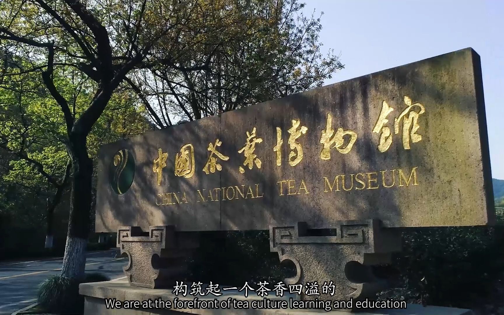 中国茶叶博物馆最新宣传片发布 欢迎大家来茶博游览
