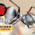 身披银甲制冷服的超级蚂蚁，1秒移动身体100倍，速度慢就会死亡
