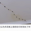 女子时隔一年回家看见天花板有一排彩灯 看清后瞬间血压飙升