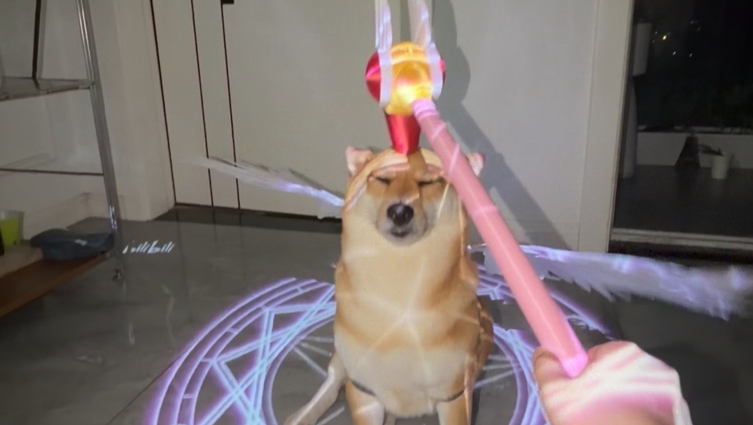 我以狗使的名义命令你，封印解除！