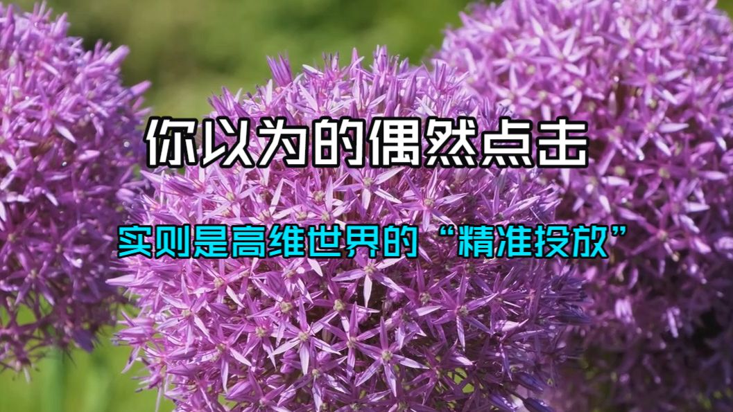 【宇宙频率】你以为的偶然点击，实则是高维世界的“精准投放”：解读你与生俱来的灵性使命，找回失落的天选身份。