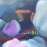 CRISPR-基因编辑  Gene editing and beyond