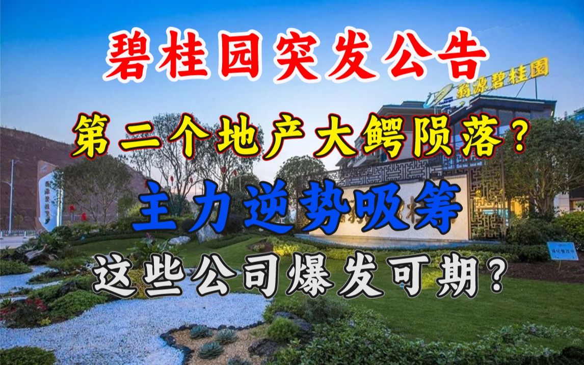 【碧桂园控股突发公告】第二大地产大鳄陨落?主力逆势吸筹,这些公司爆发可期!哔哩哔哩bilibili