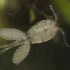探索频道--2016纪录片-吞噬生命的寄生虫