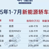 2025年1-7月新能源轿车累计销量排行榜