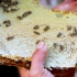 蜜爷高品质蜂蜜，一年只割一次，每一滴都是蜜蜂与自然的结晶！