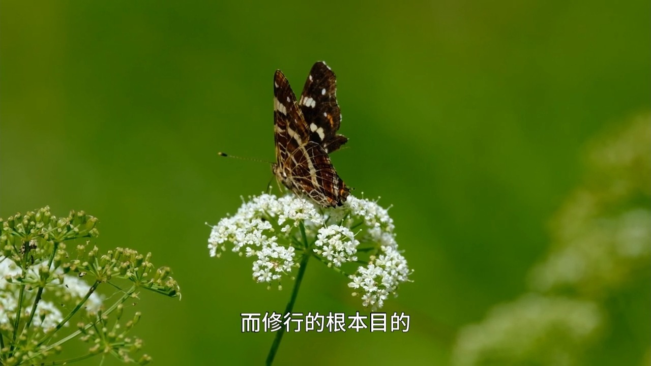 楞严经中的顶级智慧！如何破除行蕴的障碍？完成这一步，你便能真正做到了脱生死！