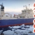 渔民出海捕捞天然加拿大北极虾，船上冷冻加工锁住新鲜！