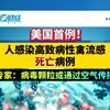 美国首例！人感染高致病性禽流感死亡病例