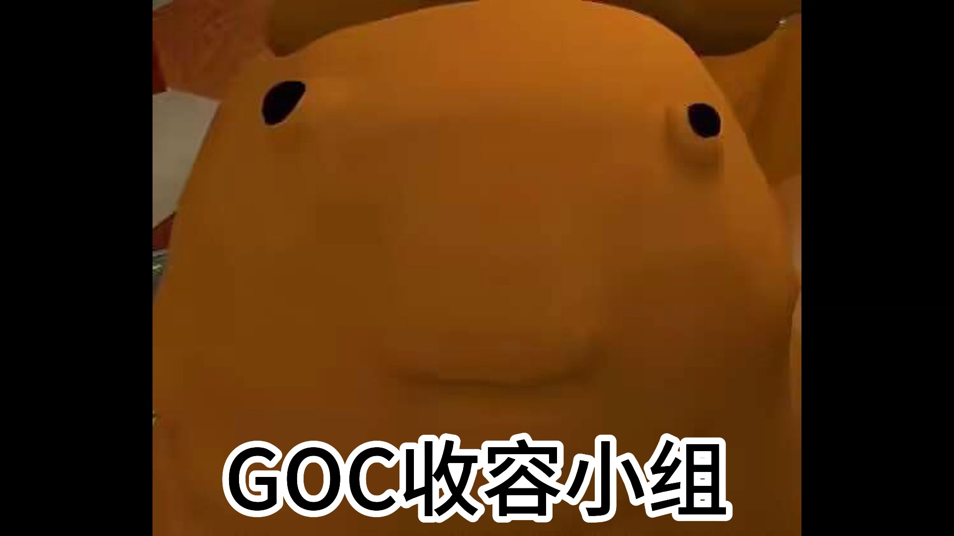 [RXSEND]GOC收容小组入场广播(真)