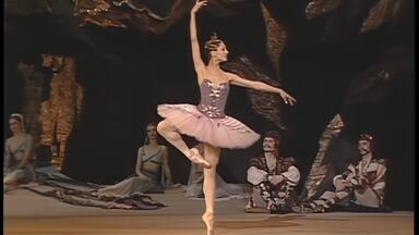 【芭蕾】我珍藏的《海盗》米朵拉变奏合集