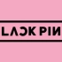 BLACKPINK「MV合集」