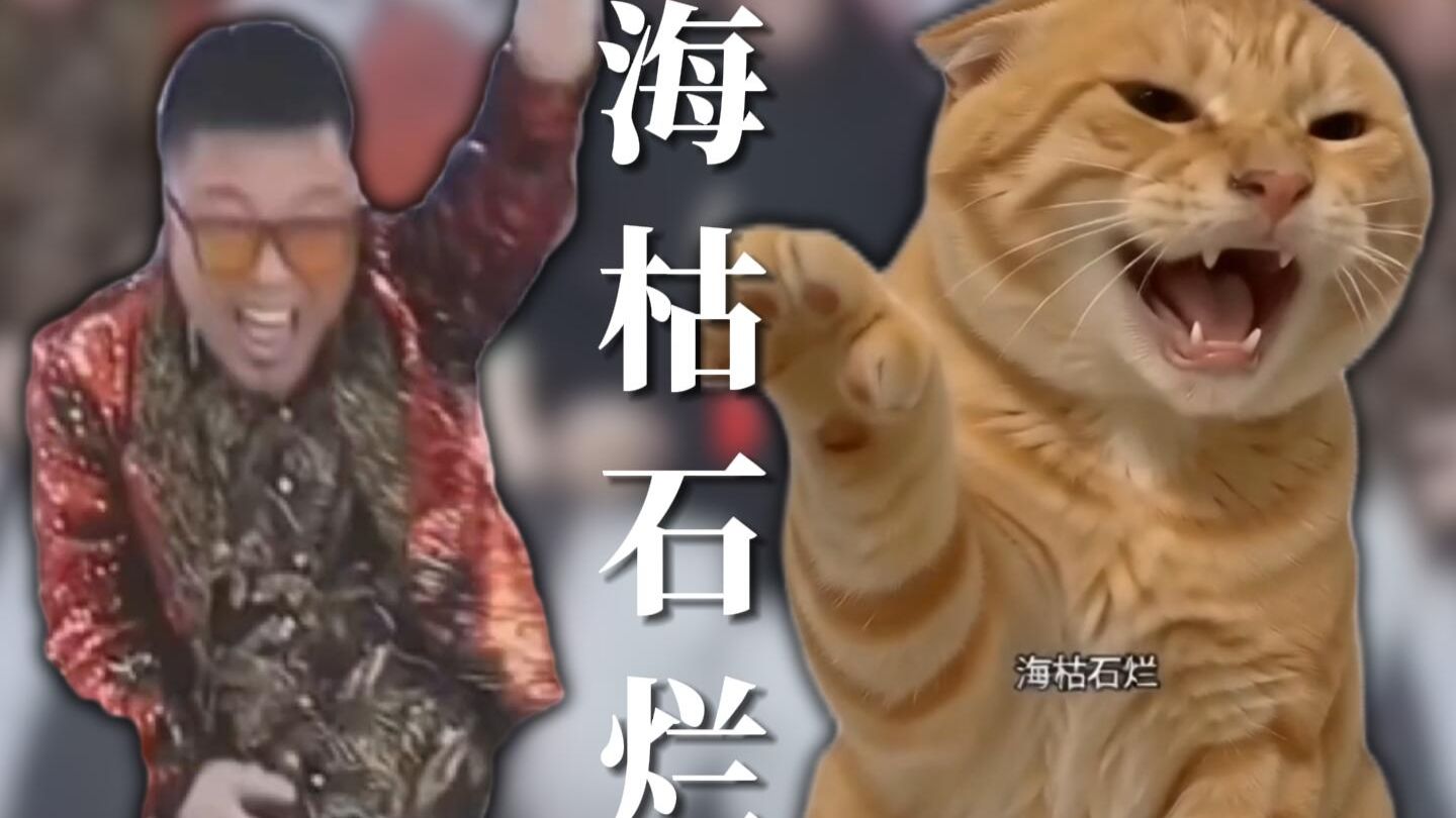 ⚡海↗枯↘石↗烂↘↗⚡