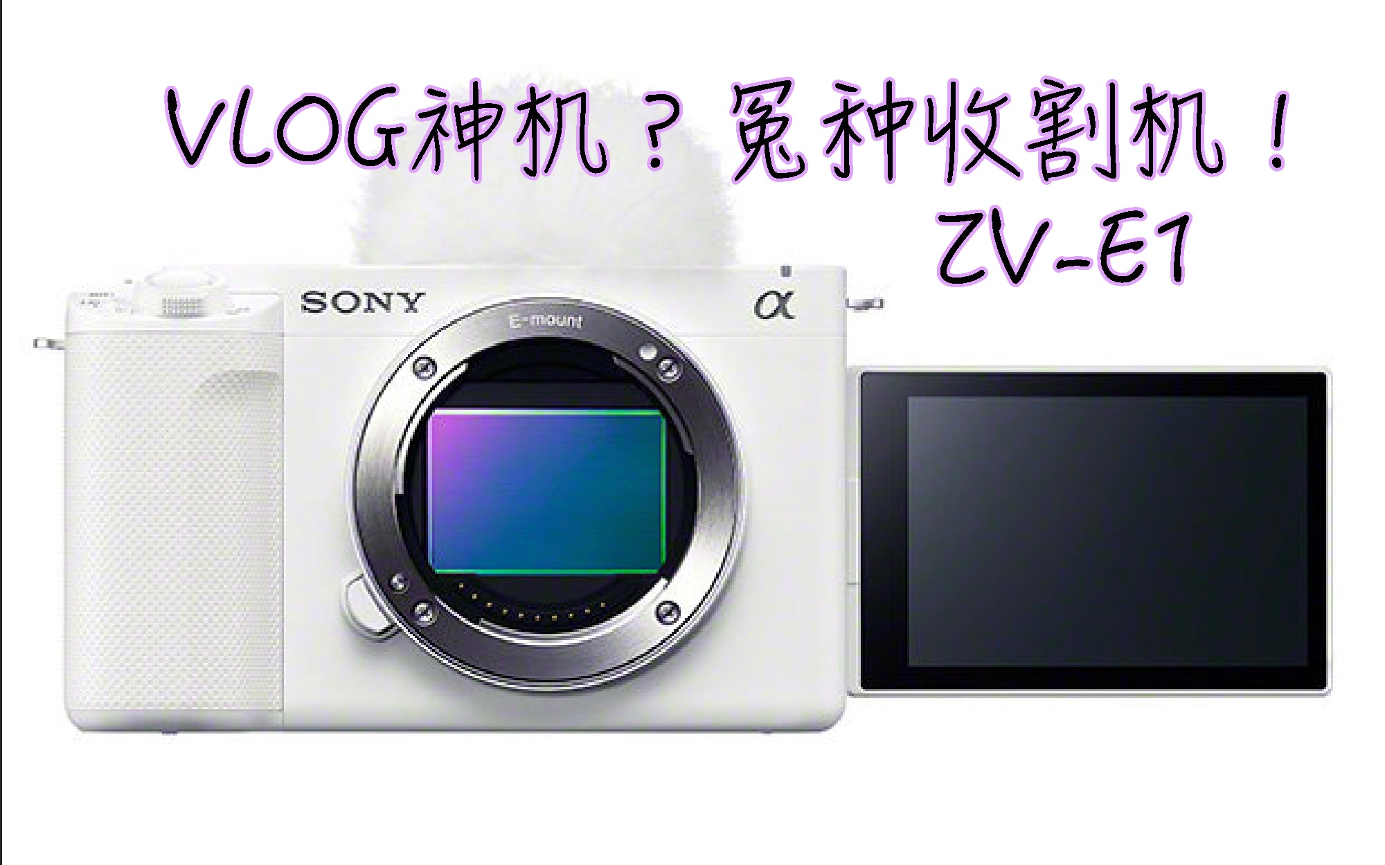有一说一，ZV-E1又是一台和FX30一样定位失败的相机！