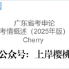 广东申论基本考情介绍（针对2025省考