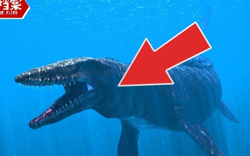 史前生物纪录片