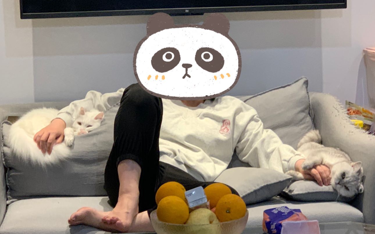 萌宠盘点饭团小夫妻这些年的骚话和骚操作