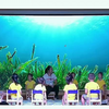 中班艺术领域公开课非常生动有趣的音乐游戏活动公开课用音乐激发小朋友的思维，感受音乐活动的快乐~幼师必备的公开课范例，优秀的幼儿园课程一套非常棒的幼师学习资源，幼