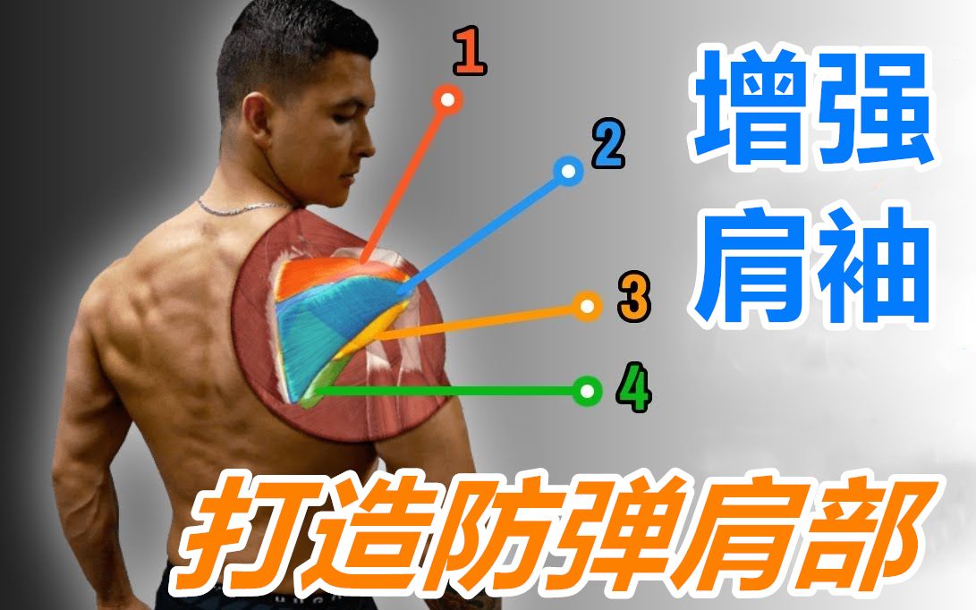 【Channel Lean】增强肩袖肌群 打造防弹肩部