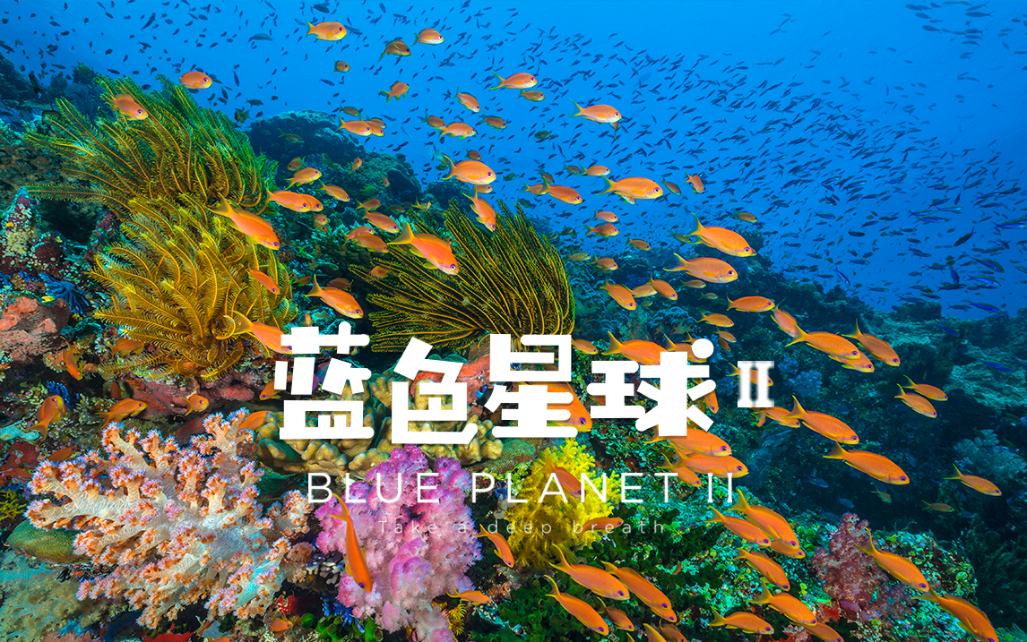 【纪录片】蓝色星球 第二季（中配版） 03 珊瑚礁