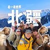 看一看世界-又去了一趟北疆 一起来跟着我们的镜头看一看，原本丝绸之旅上的骆驼，现如今是怎样一番景象