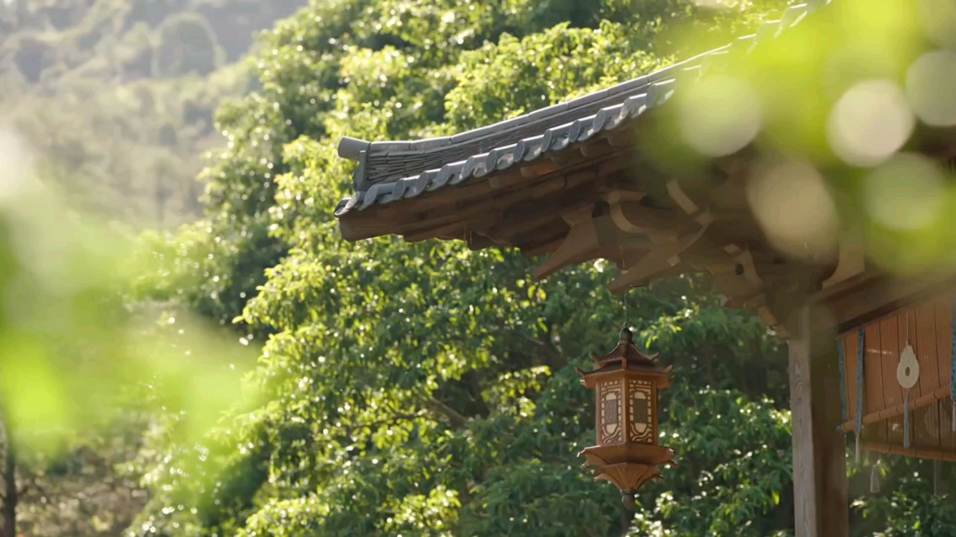 古风空镜素材——风铃/竹/火/月/雨/战争/行舟/荷花