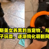 俄罗斯美女养黑豹当宠物，与家中狗子玩耍，逐渐狗化萌翻网友