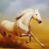 快速看油画一匹白马，很漂亮哦