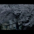 【余命十年】坂口健太郎&小松菜奈xRADWIMPS [Opening of] 自制MV