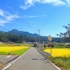【4K超清】漫步游日本乡村｜8个美丽的地方