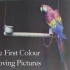 【中文字幕】【第一部彩色实验短片】The First Colour Moving Pictures (1902)