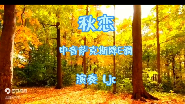 中音萨克斯降e调演奏《秋恋》